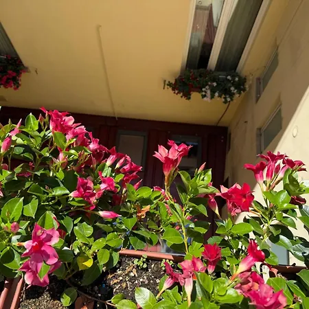 蒙特利尔酒店